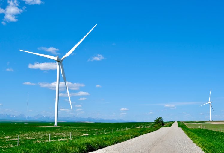 a wind farm and a dirt road on a sunny day